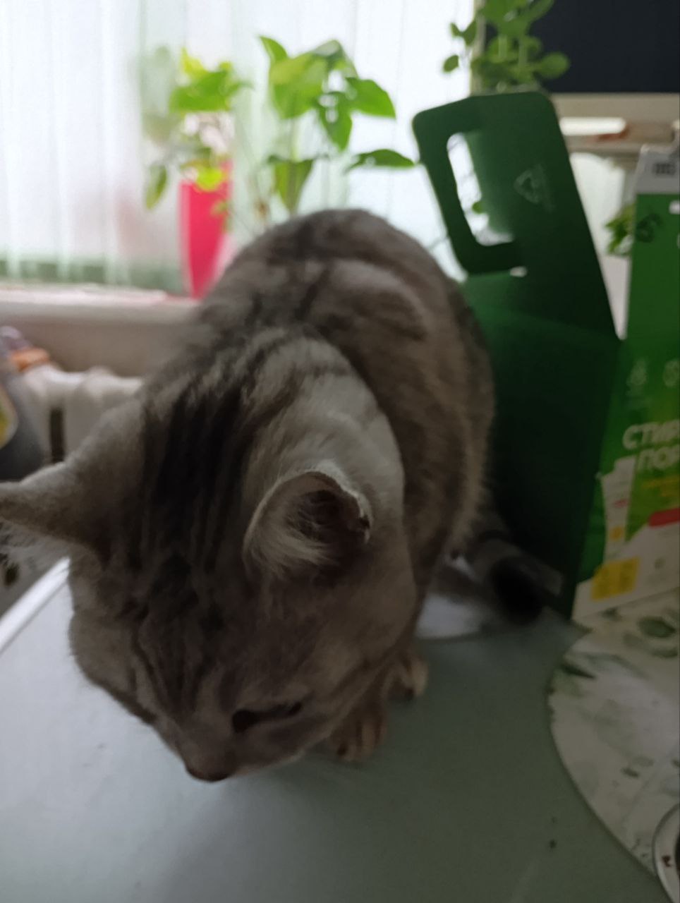 Банда