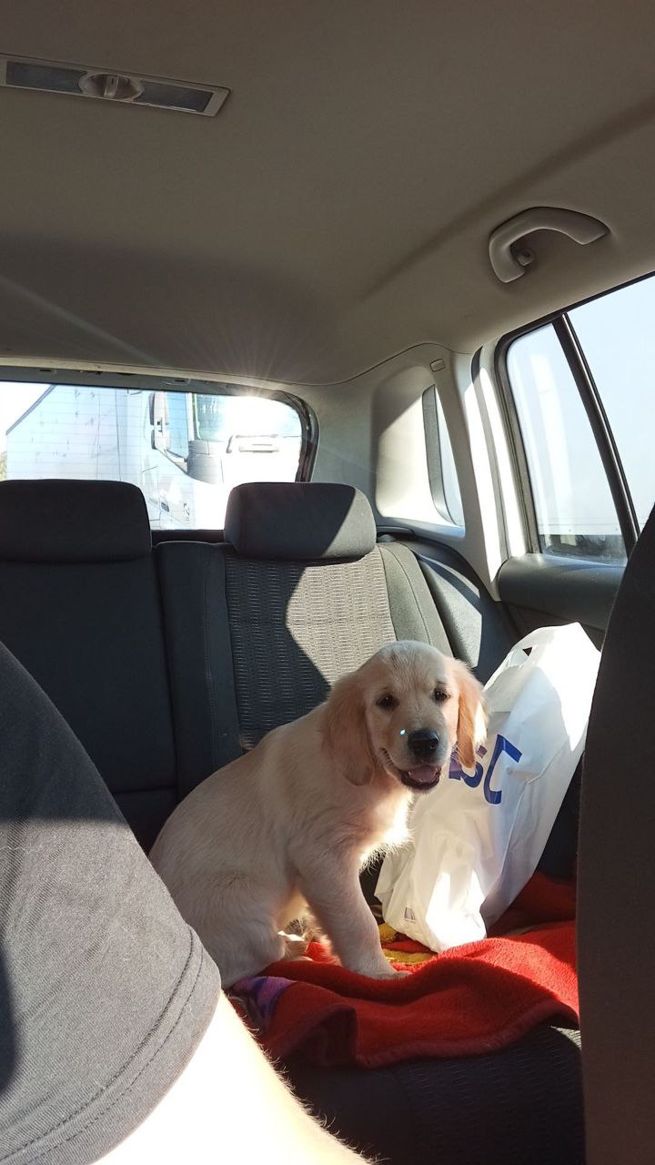 Приехали домой